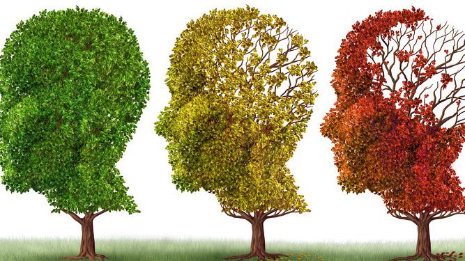 Dementia and other neurodegenerative diseases